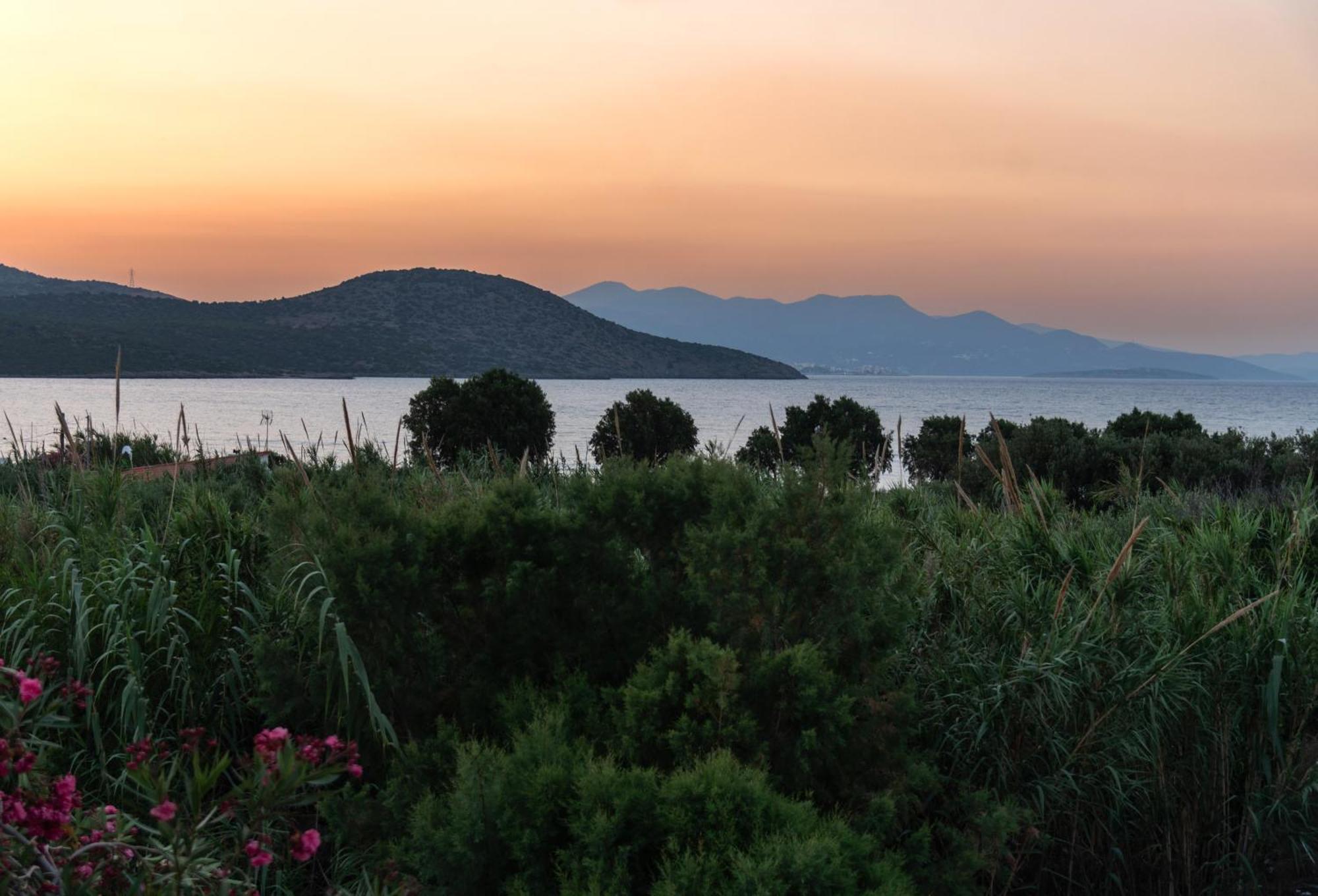 Kounenos House Istron Dış mekan fotoğraf