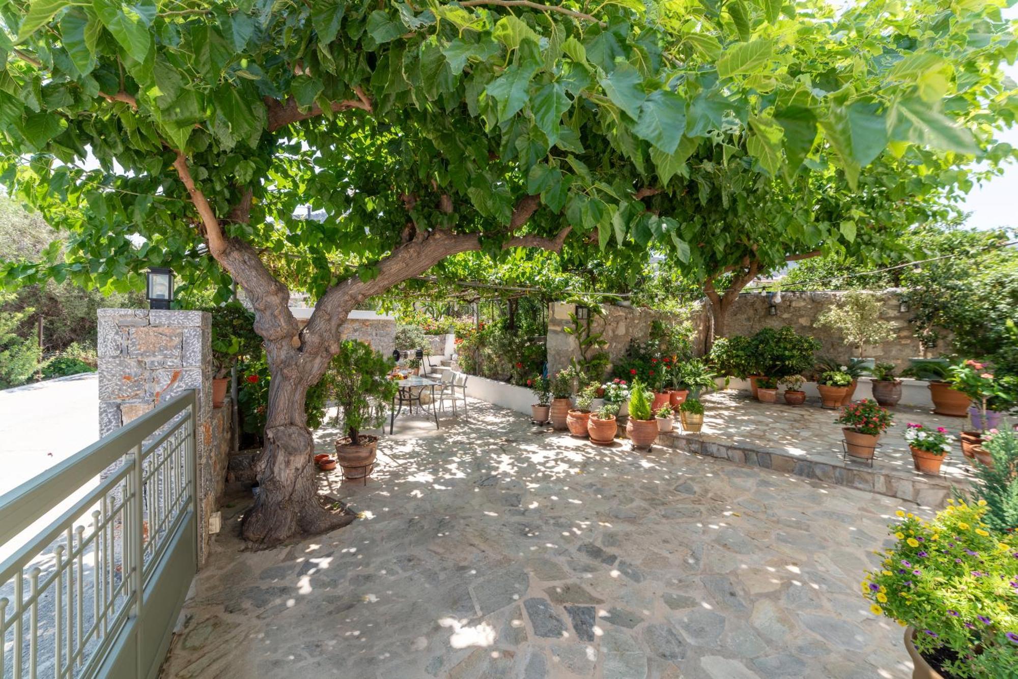 Kounenos House Istron Dış mekan fotoğraf